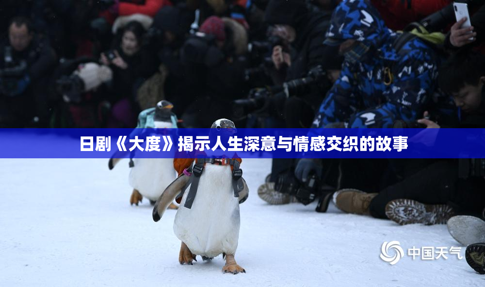 日剧《大度》揭示人生深意与情感交织的故事