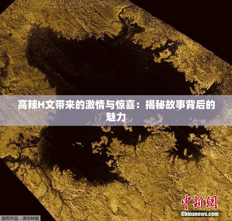 高辣H文带来的激情与惊喜：揭秘故事背后的魅力