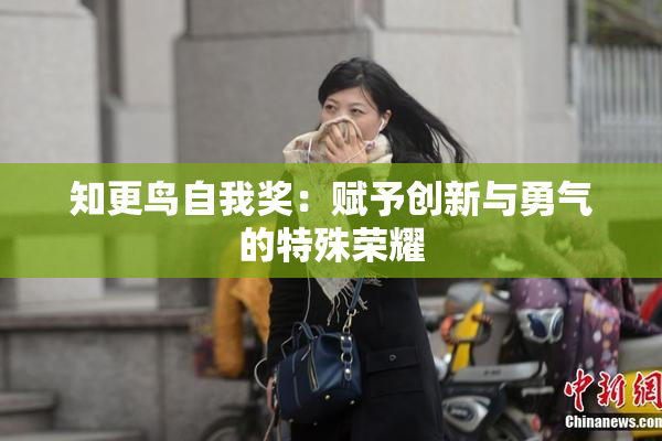 知更鸟自我奖：赋予创新与勇气的特殊荣耀