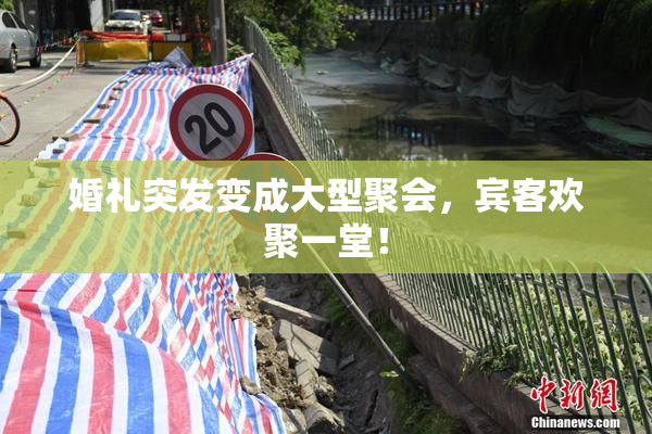 婚礼突发变成大型聚会，宾客欢聚一堂！