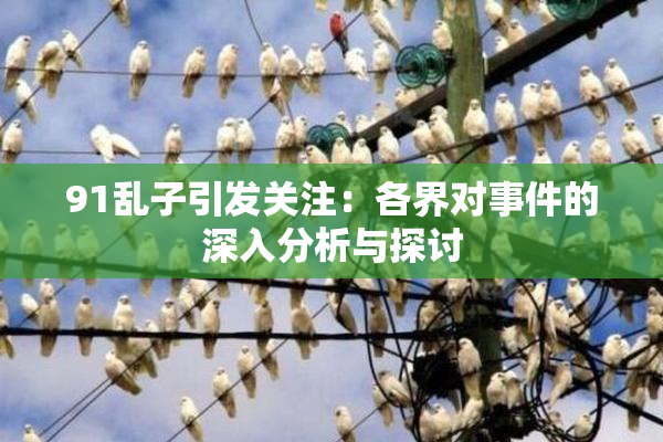91乱子引发关注：各界对事件的深入分析与探讨