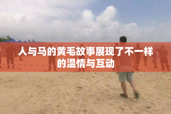 人与马的黄毛故事展现了不一样的温情与互动