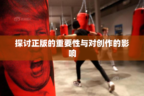 探讨正版的重要性与对创作的影响