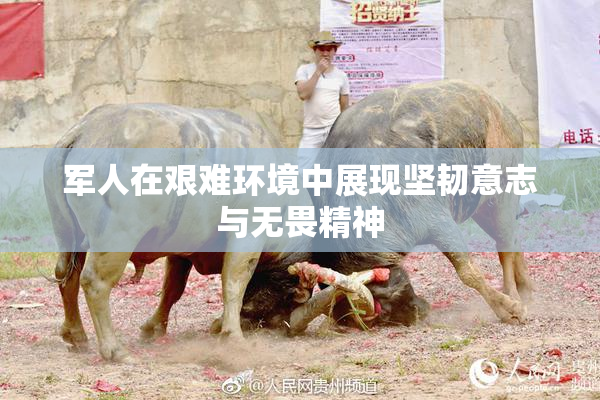 军人在艰难环境中展现坚韧意志与无畏精神