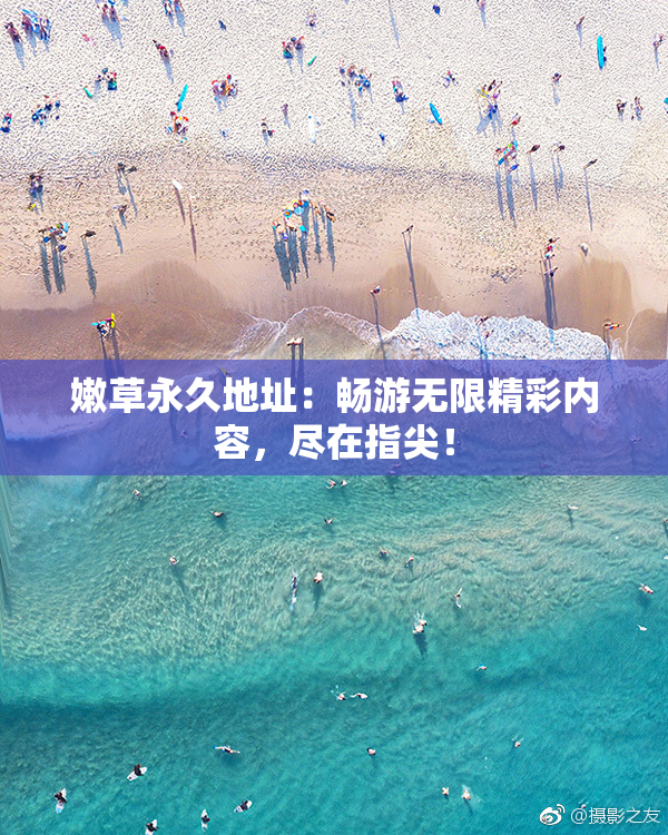 嫩草永久地址：畅游无限精彩内容，尽在指尖！