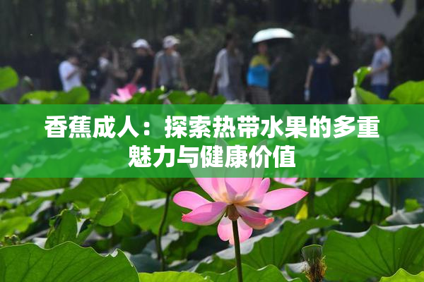 香蕉成人：探索热带水果的多重魅力与健康价值
