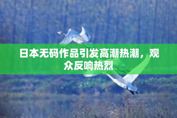 日本无码作品引发高潮热潮，观众反响热烈