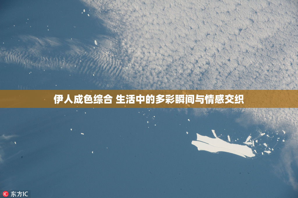 伊人成色综合 生活中的多彩瞬间与情感交织