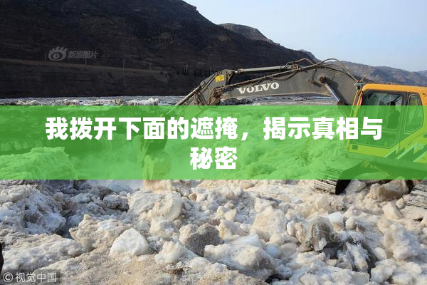 我拨开下面的遮掩，揭示真相与秘密