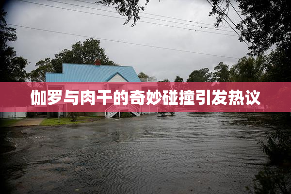 伽罗与肉干的奇妙碰撞引发热议