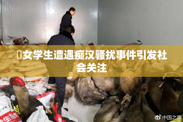 巜女学生遭遇痴汉骚扰事件引发社会关注