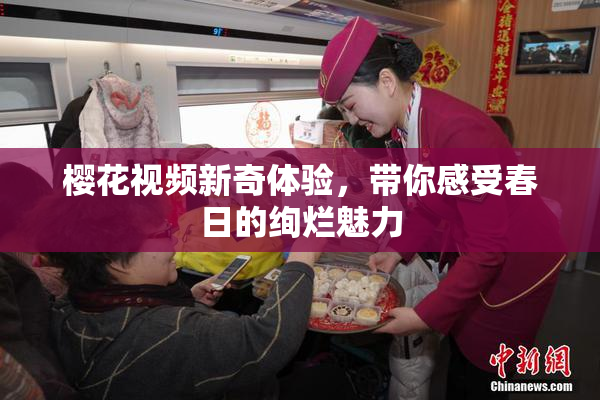 樱花视频新奇体验，带你感受春日的绚烂魅力
