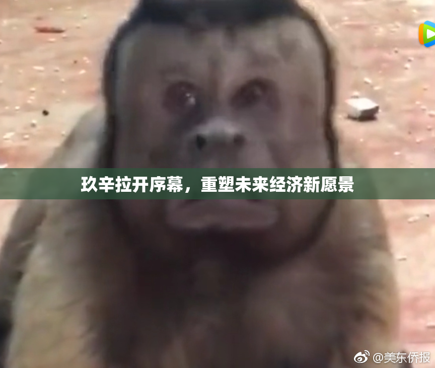 玖辛拉开序幕，重塑未来经济新愿景