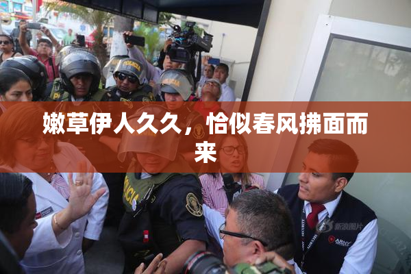 嫩草伊人久久，恰似春风拂面而来