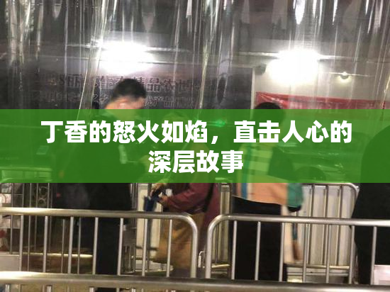 丁香的怒火如焰，直击人心的深层故事