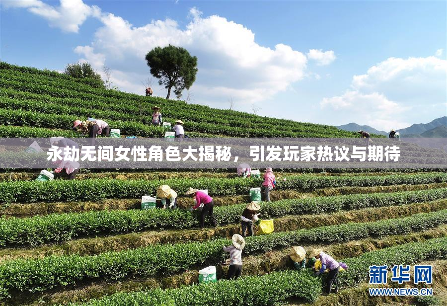 永劫无间女性角色大揭秘，引发玩家热议与期待