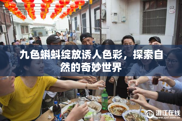 九色蝌蚪绽放诱人色彩，探索自然的奇妙世界