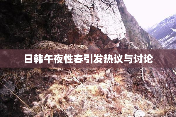 日韩午夜性春引发热议与讨论
