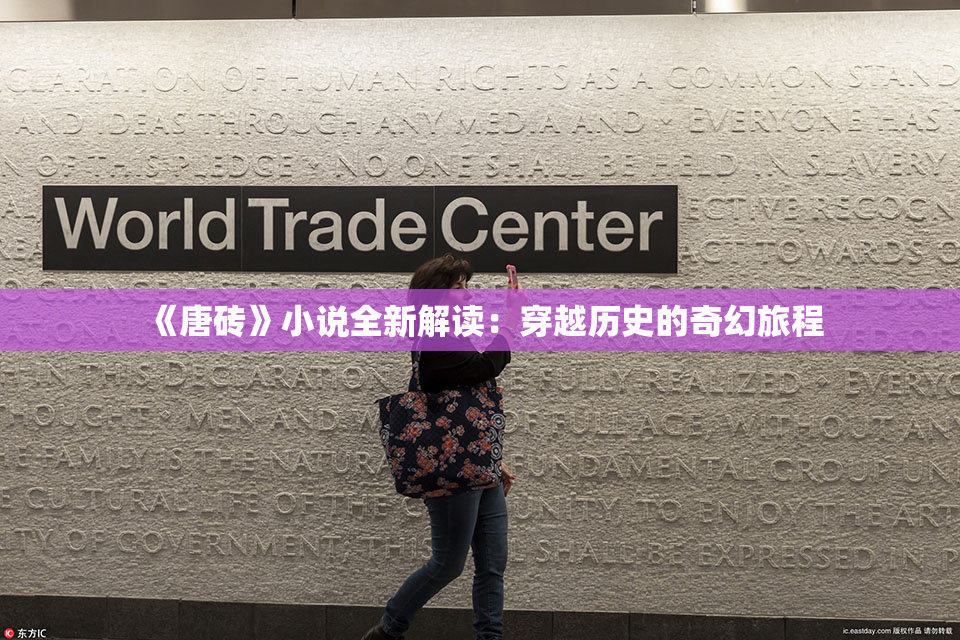 《唐砖》小说全新解读：穿越历史的奇幻旅程