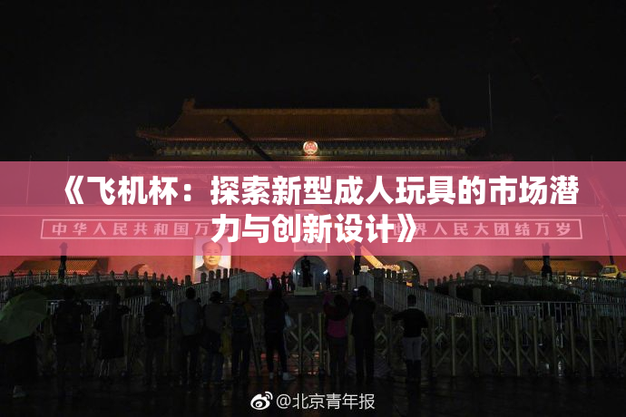 《飞机杯：探索新型成人玩具的市场潜力与创新设计》