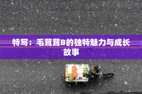 特写：毛茸茸B的独特魅力与成长故事