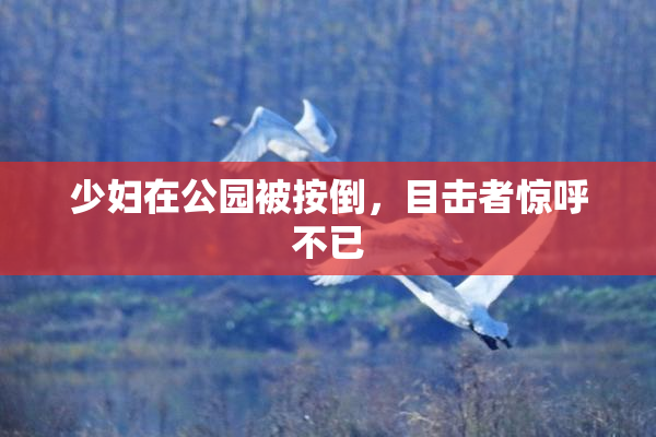 少妇在公园被按倒，目击者惊呼不已