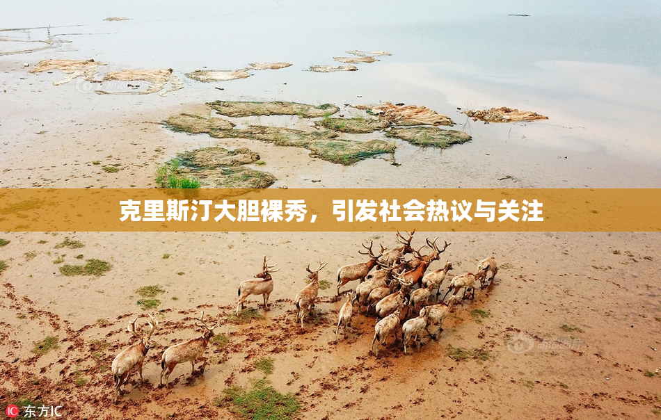 克里斯汀大胆裸秀，引发社会热议与关注