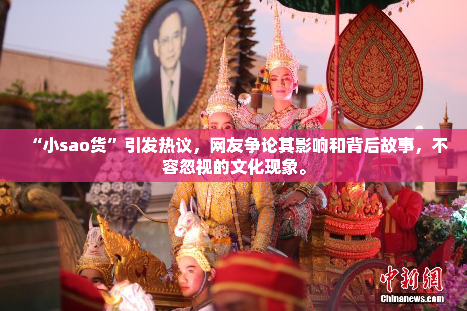 “小sao货”引发热议，网友争论其影响和背后故事，不容忽视的文化现象。