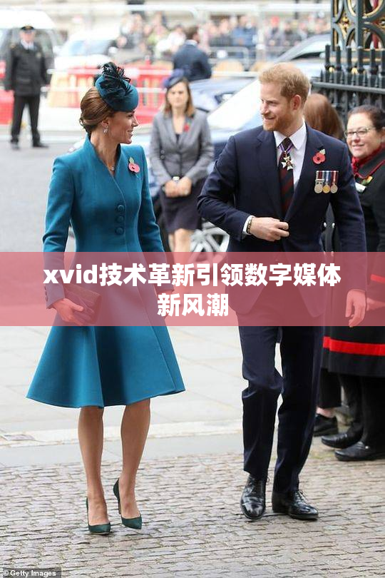 xvid技术革新引领数字媒体新风潮