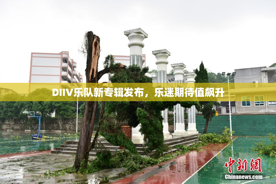 DIIV乐队新专辑发布，乐迷期待值飙升