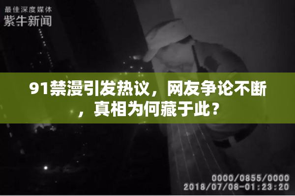 91禁漫引发热议，网友争论不断，真相为何藏于此？