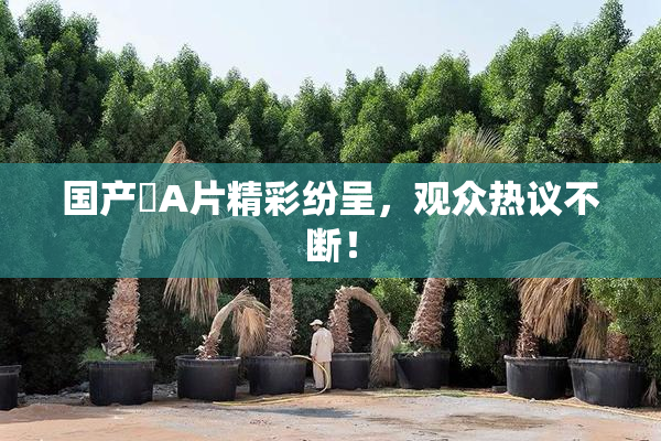 国产婬A片精彩纷呈，观众热议不断！