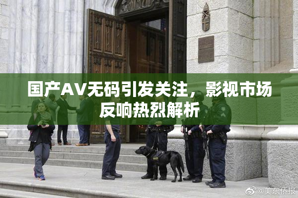 国产AV无码引发关注，影视市场反响热烈解析