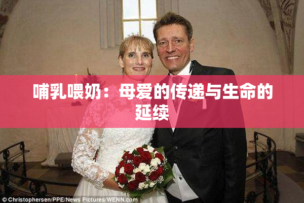 哺乳喂奶：母爱的传递与生命的延续