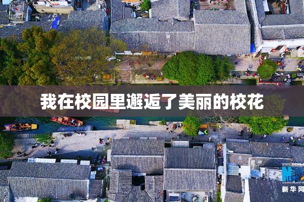 我在校园里邂逅了美丽的校花