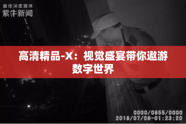 高清精品-X：视觉盛宴带你遨游数字世界