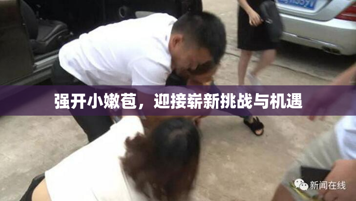 强开小嫩苞，迎接崭新挑战与机遇