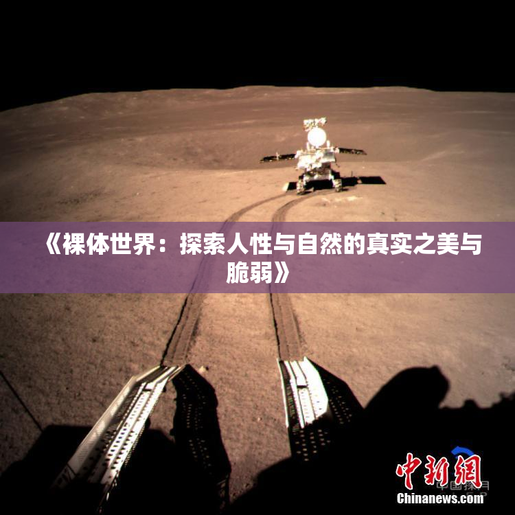 《裸体世界：探索人性与自然的真实之美与脆弱》