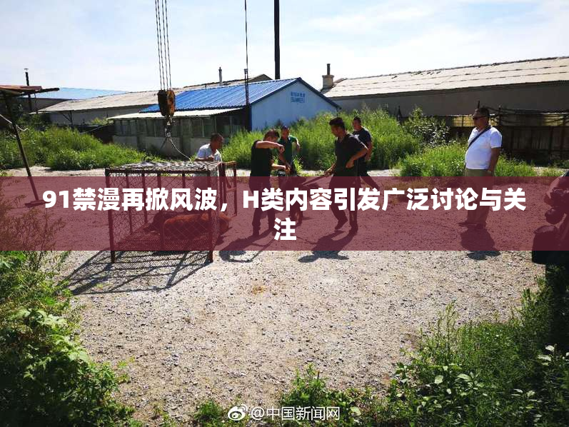 91禁漫再掀风波，H类内容引发广泛讨论与关注
