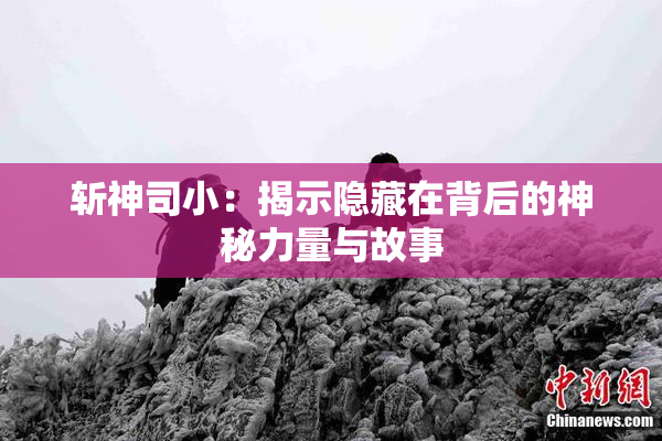 斩神司小：揭示隐藏在背后的神秘力量与故事