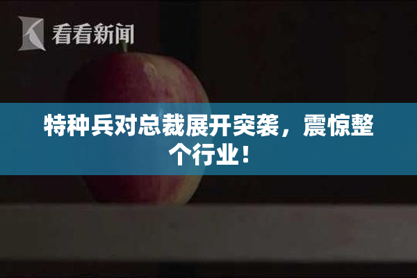 特种兵对总裁展开突袭，震惊整个行业！