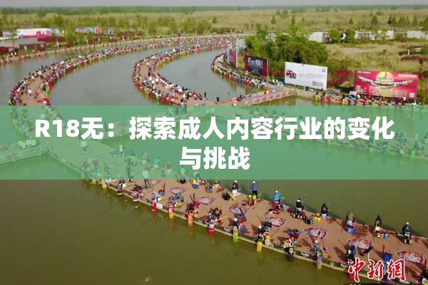 R18无：探索成人内容行业的变化与挑战