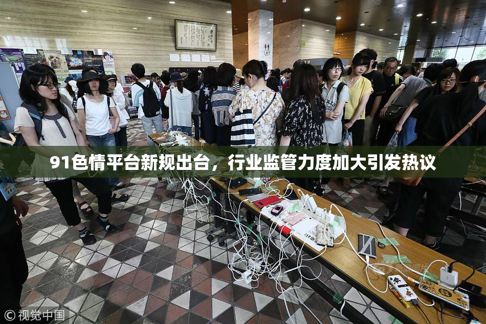 91色情平台新规出台，行业监管力度加大引发热议