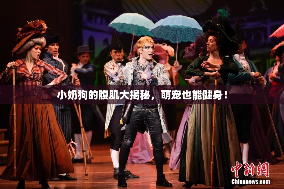小奶狗的腹肌大揭秘，萌宠也能健身！