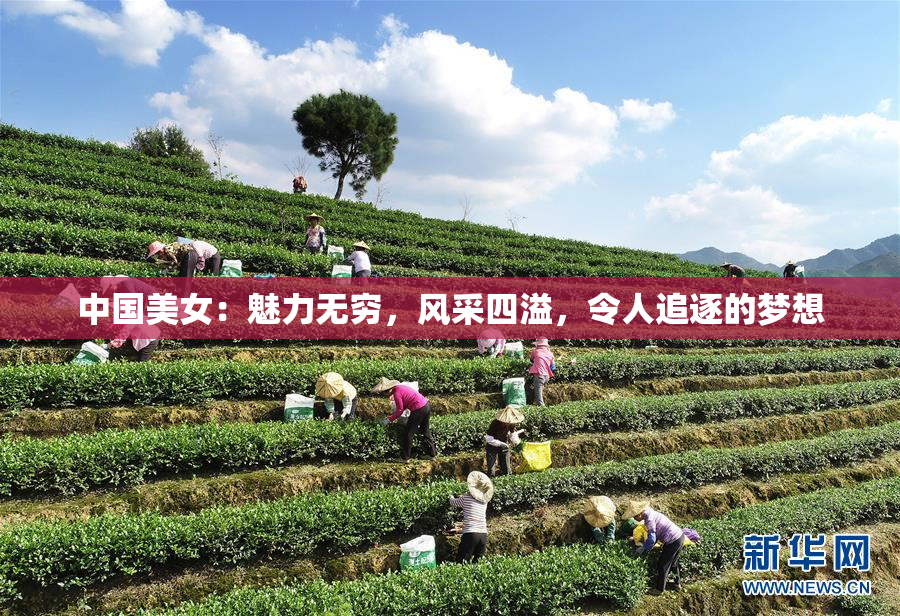 中国美女：魅力无穷，风采四溢，令人追逐的梦想