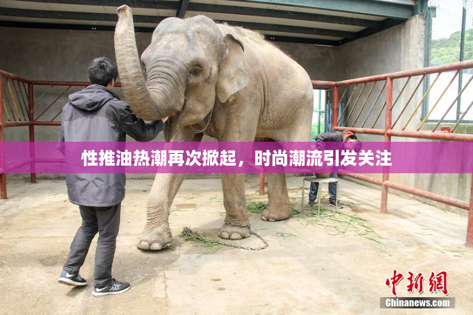 性推油热潮再次掀起，时尚潮流引发关注
