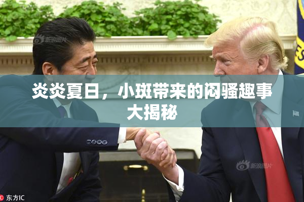 炎炎夏日，小斑带来的闷骚趣事大揭秘
