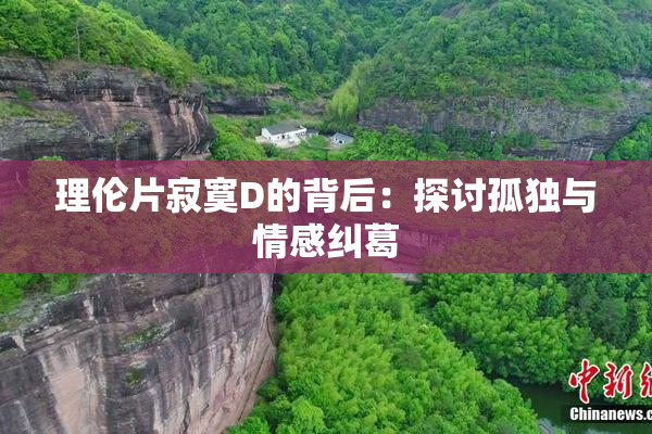 理伦片寂寞D的背后：探讨孤独与情感纠葛