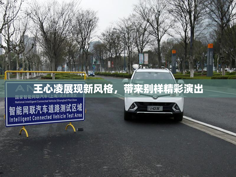王心凌展现新风格，带来别样精彩演出