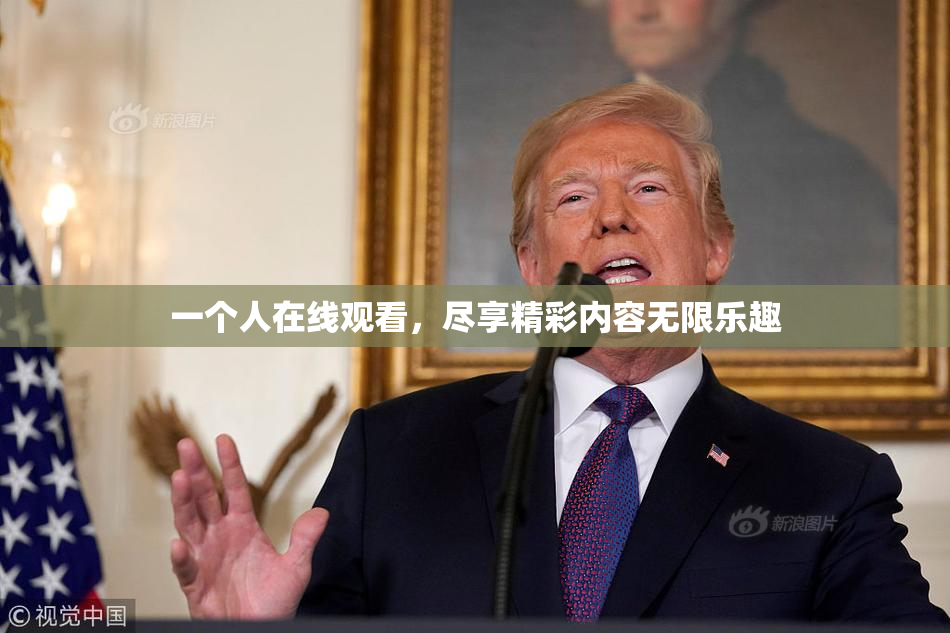 一个人在线观看，尽享精彩内容无限乐趣